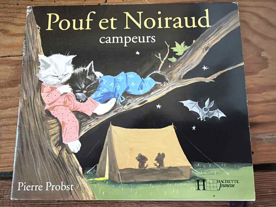 Pouf et Noiraud campeurs — Pierre Probst