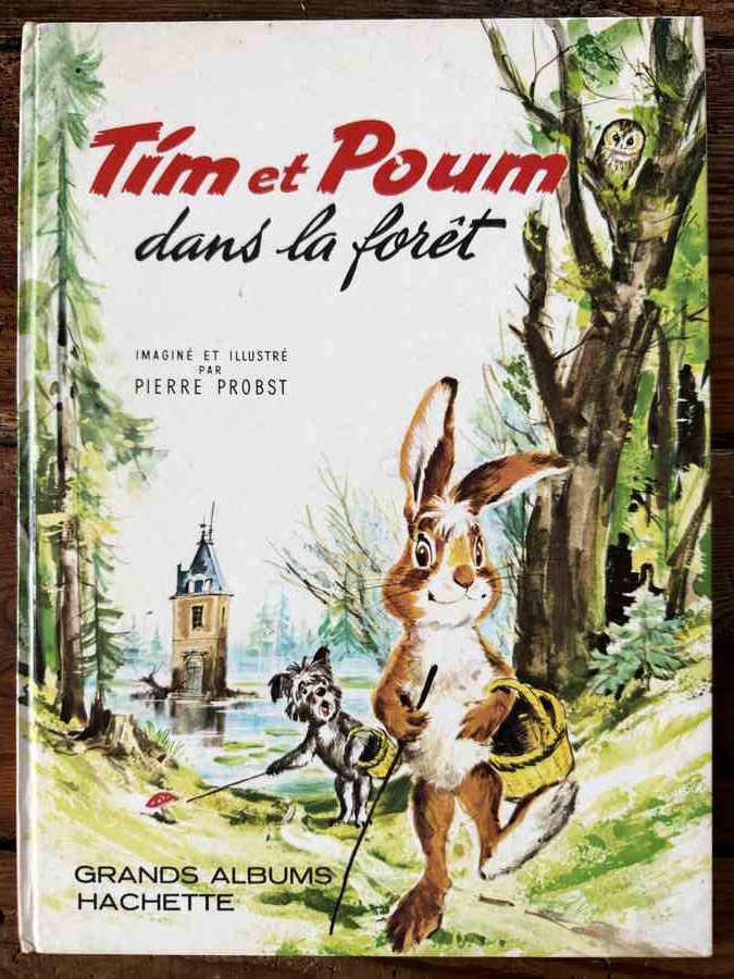 Tim et Poum dans la forêt — Pierre Probst