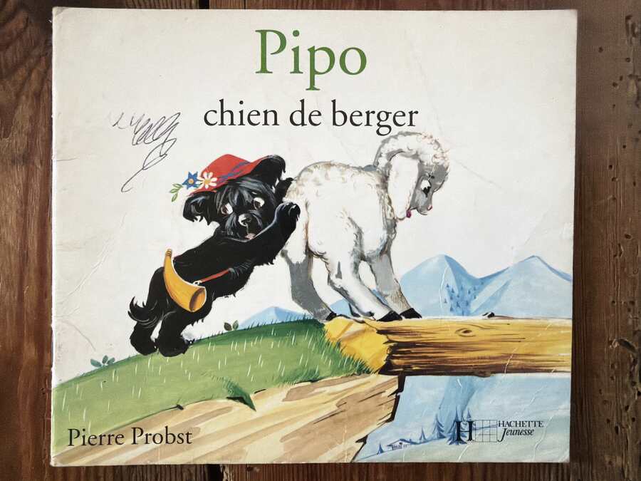 Pipo chien de berger — Pierre Probst